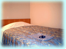 Picture of the single bed. the size of the bed is very small. Ths information page gives you the various information during traveling in Japan