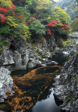 Nagato Gorge from Yamaguchi to Tsuwano
