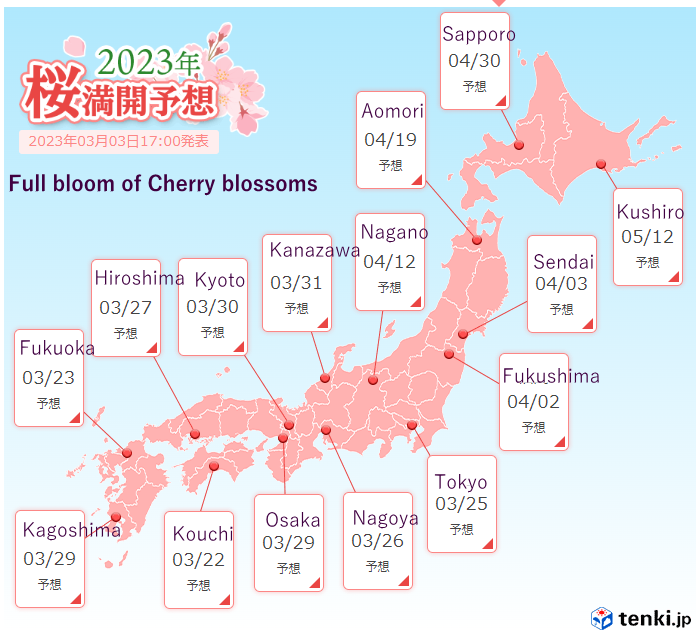 Japan Weather Association Announced Cherry Blossom Bloom And Full Bloom 