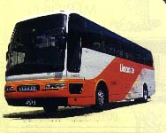 limousine bus